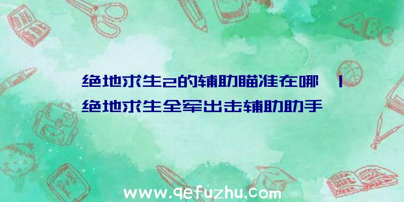 「绝地求生2的辅助瞄准在哪」|绝地求生全军出击辅助助手